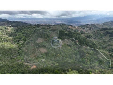 se vende finca productiva en tarbaca