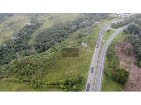 se vende lote de 39400m2 en sobre la autopista del cafe circasia q