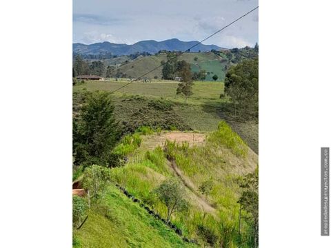 se vende lote en rionegro sector los pinos