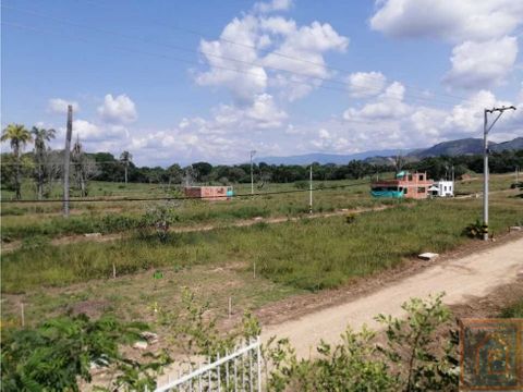 se vende lotes carmen de apicala en melgar colombia