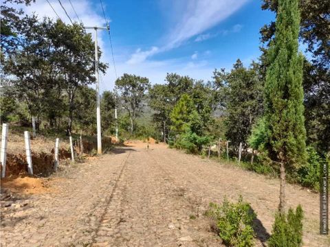 terreno en venta el zitunero patzcuaro