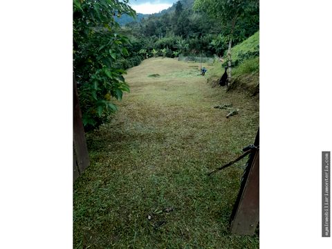 terreno de 12800 en san francisco cundinamarca