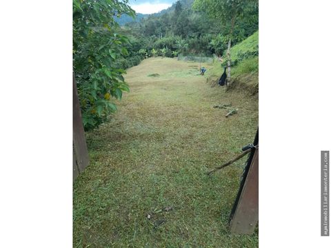 terreno de 12800 en san francisco cundinamarca