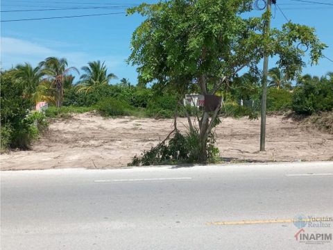 venta de terreno en la playa de chelem yucatan