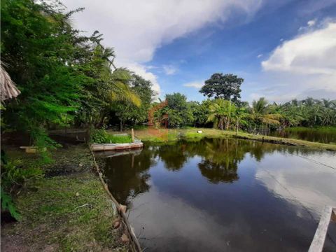 terreno en aguas negras zona campestre de monteria