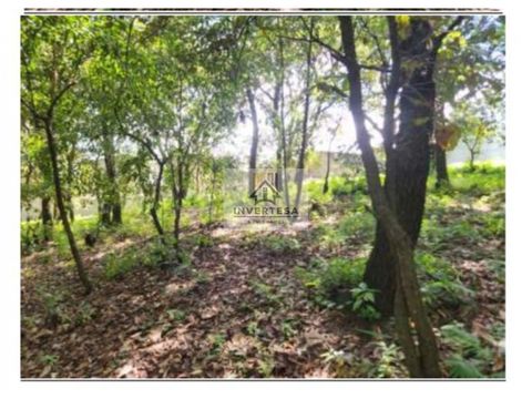 terreno en venta sobre bulevar san cristobal