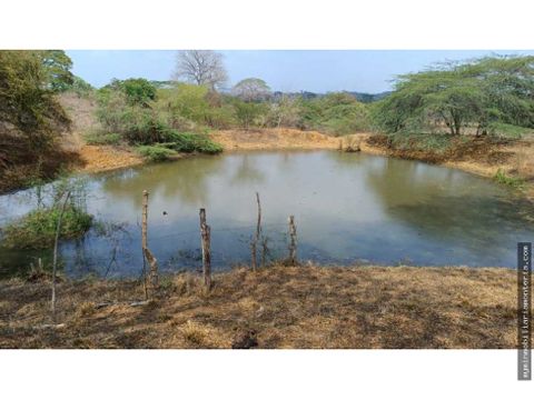 terreno en venta via monteria planeta rica