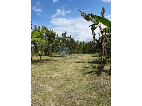 vendo lote campestre en parcelacion via alcala cartago