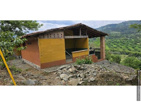 vendo lote en amaga camilo c