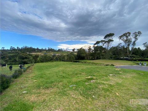 vendo lote en bracamonte alto de las palmas sector la acuarela