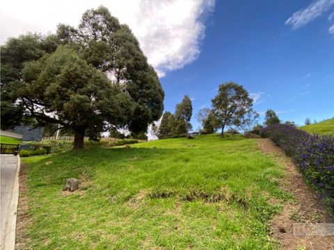 vendo lote en bracamonte alto de las palmas sector la acuarela