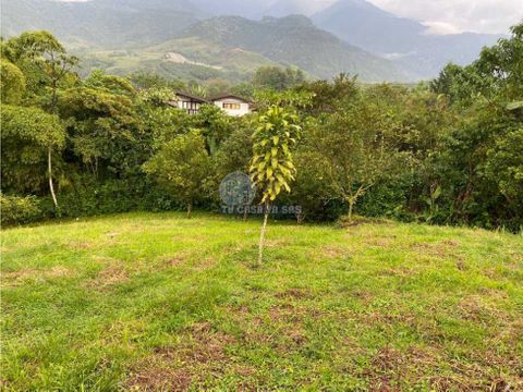 vendo lote en el corregimiento la florida