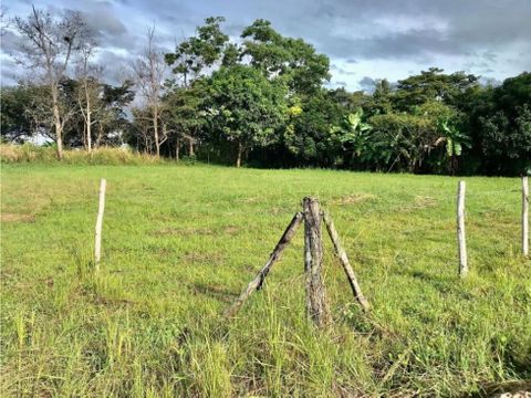 venta de lote en penonome llano marin