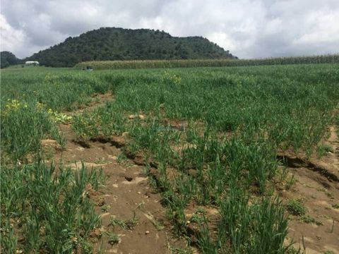 venta de mina de basalto y rancho en amecameca estado de mexico