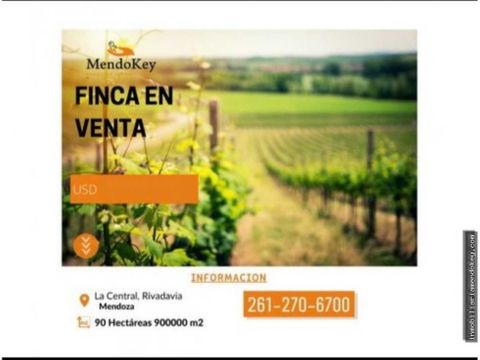 venta de excelente finca 90 has en la central rivadavia mendoza