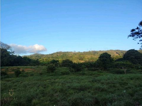 venta de finca comercial de 8has con 7200m2 en capira dr
