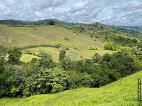 venta de finca de 100 cuadras con vocacion ganadera