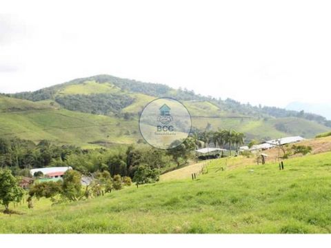 venta de finca ganadera yotoco valle