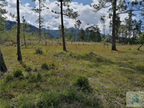 venta de lote de terreno pinares del valle