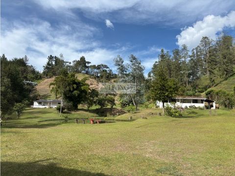 venta de lote uso mixto a borde de via don diego la ceja