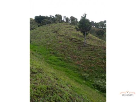 venta de lotes en abejorral