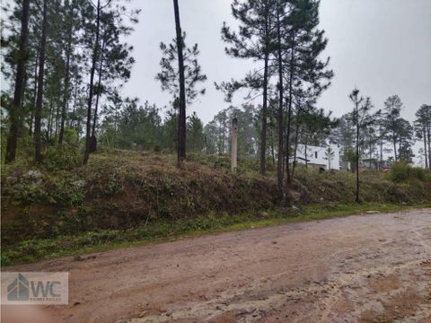 venta de terreno pinares del valle