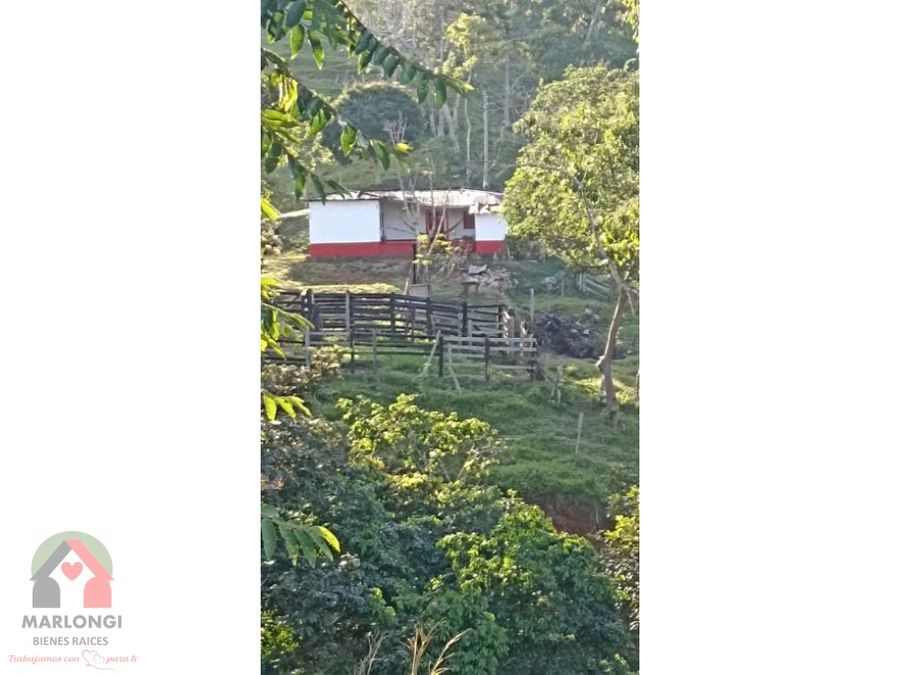 venta de 25 hectareas con casa en maceo antioquia colombia