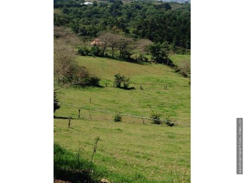venta de 2 terrenos en carrizal alajuela