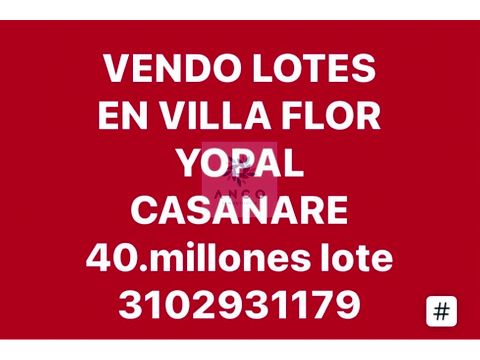 venta de 8 lotes lotes seguidos