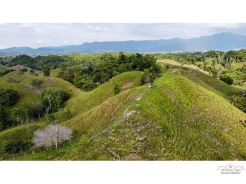 venta finca en puerto boyaca vereda dos quebradas