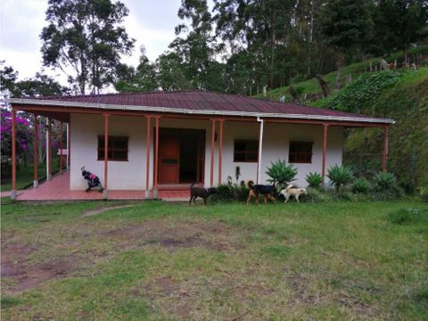 venta finca en salento quindio