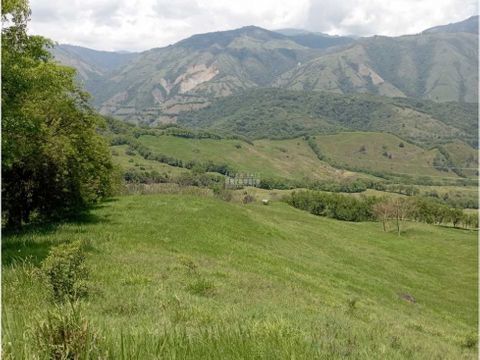 venta finca la pintada ganadera suroeste antioqueno