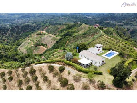 venta finca productora palestina caldas