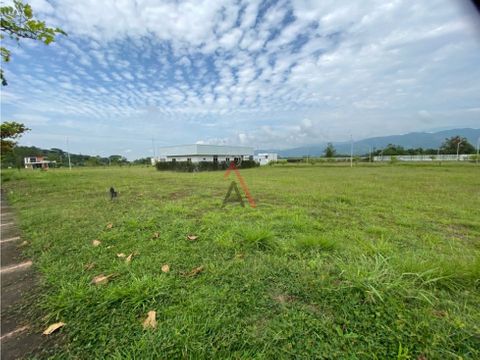 venta lote plano viterbo caldas