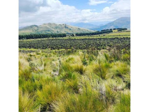 5 hectareas en venta olmedo cayambe