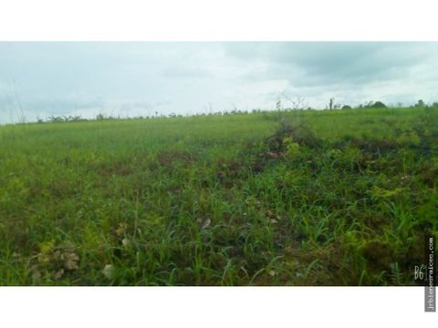 lotes de terreno en venta pucallpa