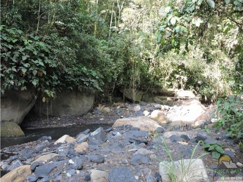 venta 2 hectareas en la mesa cundi