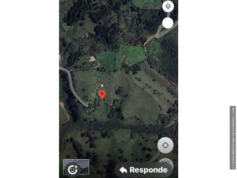 48000 mts de lote en llanogrande en venta