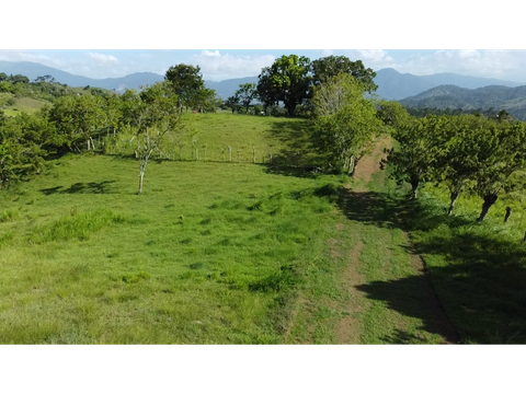 finca de 165 tareas a la venta en jarabacoa oportunidad de inversion