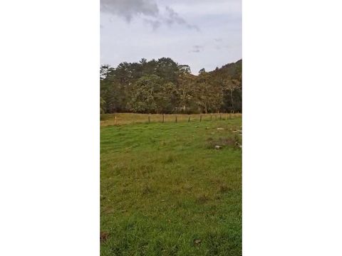 venta de lote sector via don diego llanogrande