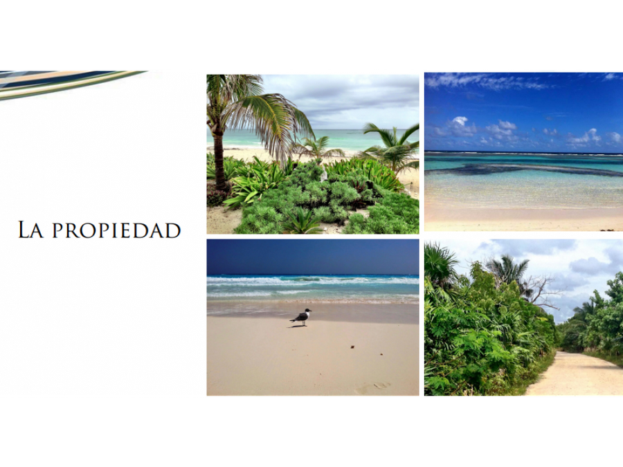 se vende terreno frente al mar en mahahual costa maya q roo