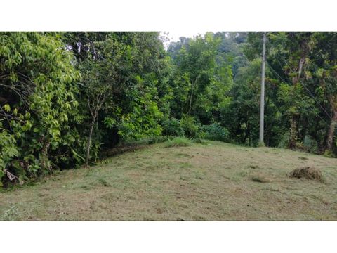 se vende finca 30 has diferentes usos quepos tocori villa nueva