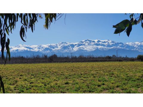 venta parcela de 5000 m2 con nogales en rinconada de los andes