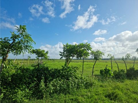 solar en venta a 1km de playa macao punta cana