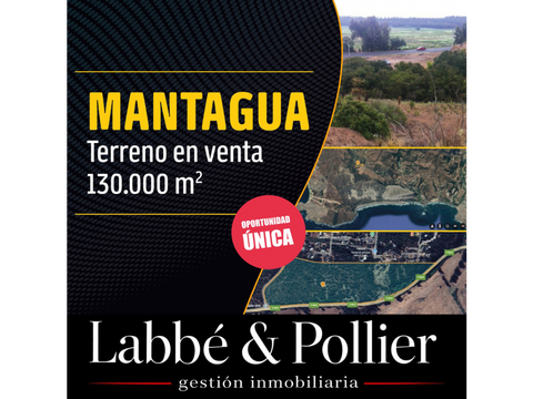 invierte en mantagua 13 hectareas con amplio frente a ruta f 30
