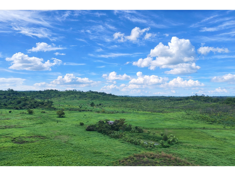 finca en venta 70 ha pedro carbo prov guayas