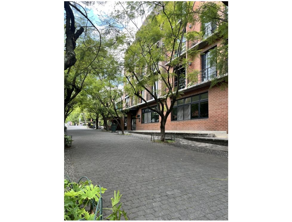 Apartamento Amueblado en Renta Zona 4 - Miniatura 5