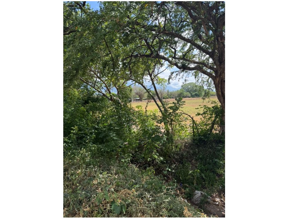 TERRENO EN VENTA EN ZACAPA - Miniatura 15
