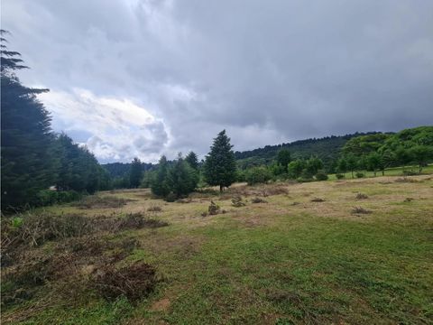 venta de finca en san isidro grecia alajuela