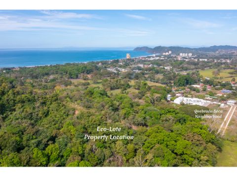 hermoso lote inmerso en la naturaleza a 5 minutos del centro de jaco